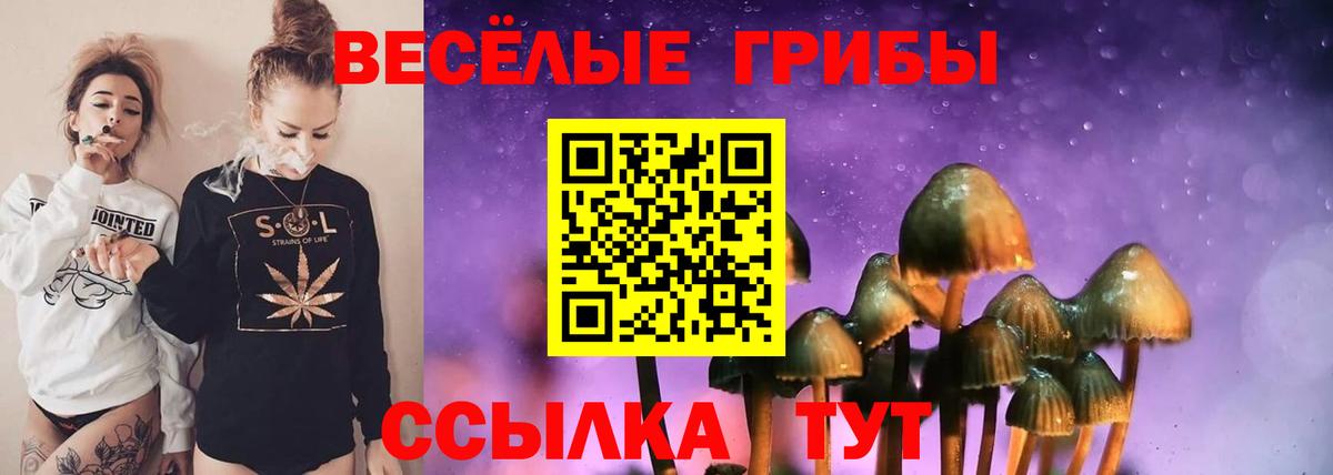 Псилоцибиновые грибы Magic Shrooms  Галлюциногенные грибы MAGIC MUSHROOMS  Вход с VPN  Печора 